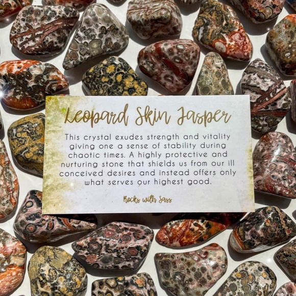 Leopard Jasper Bead Bracelet | 7 IN - Picture 2 of 7